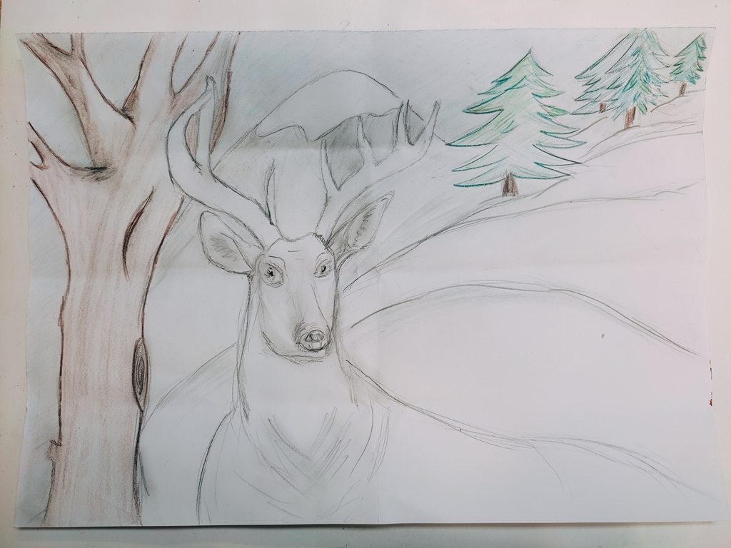 Tymoteusz Choma, klasa 7c.jpg